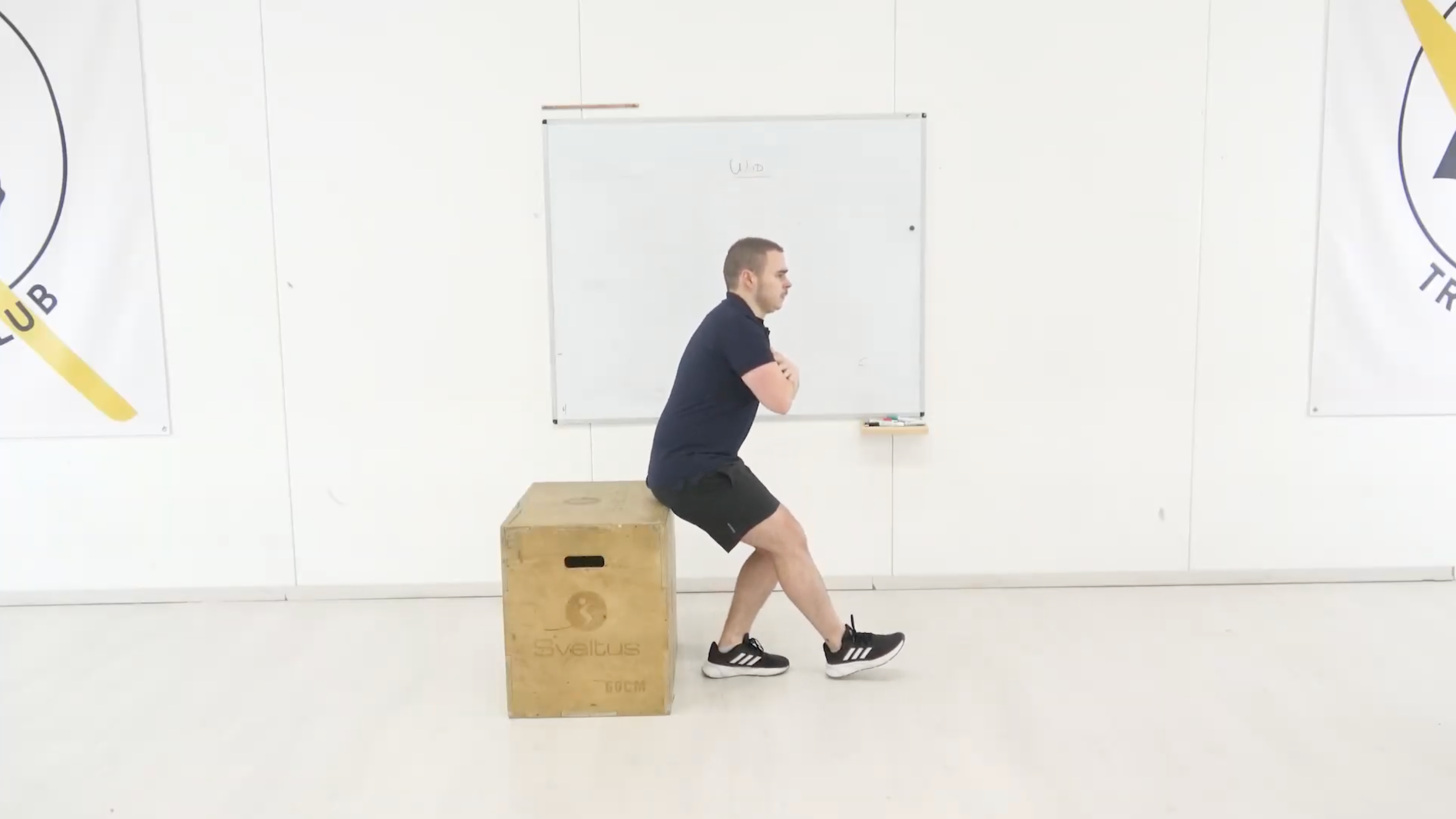 Single-Leg Squat With Box