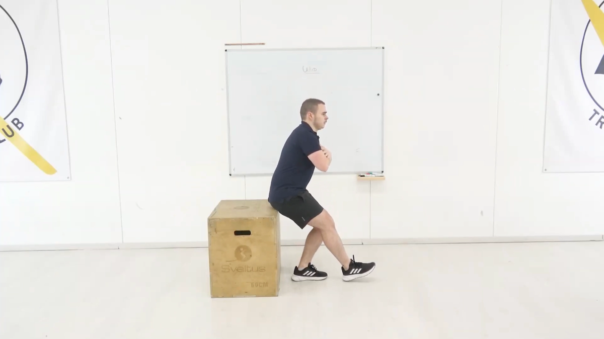Single-Leg Squat With Box