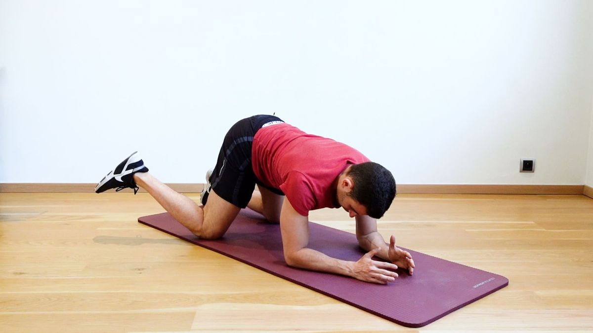 Internal Hip Rotation in Quadruped Position