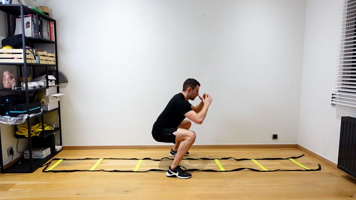 Jumping Squats With Ladder