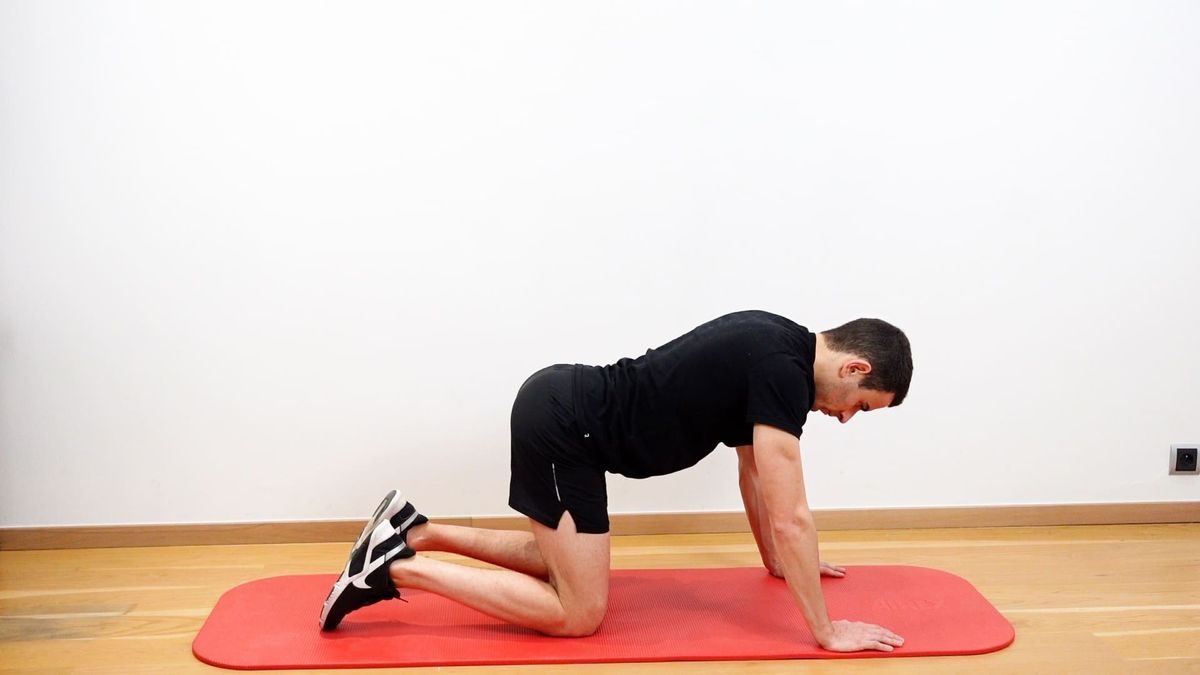 Anterior / Posterior Pelvic Tilt in Quadruped Position