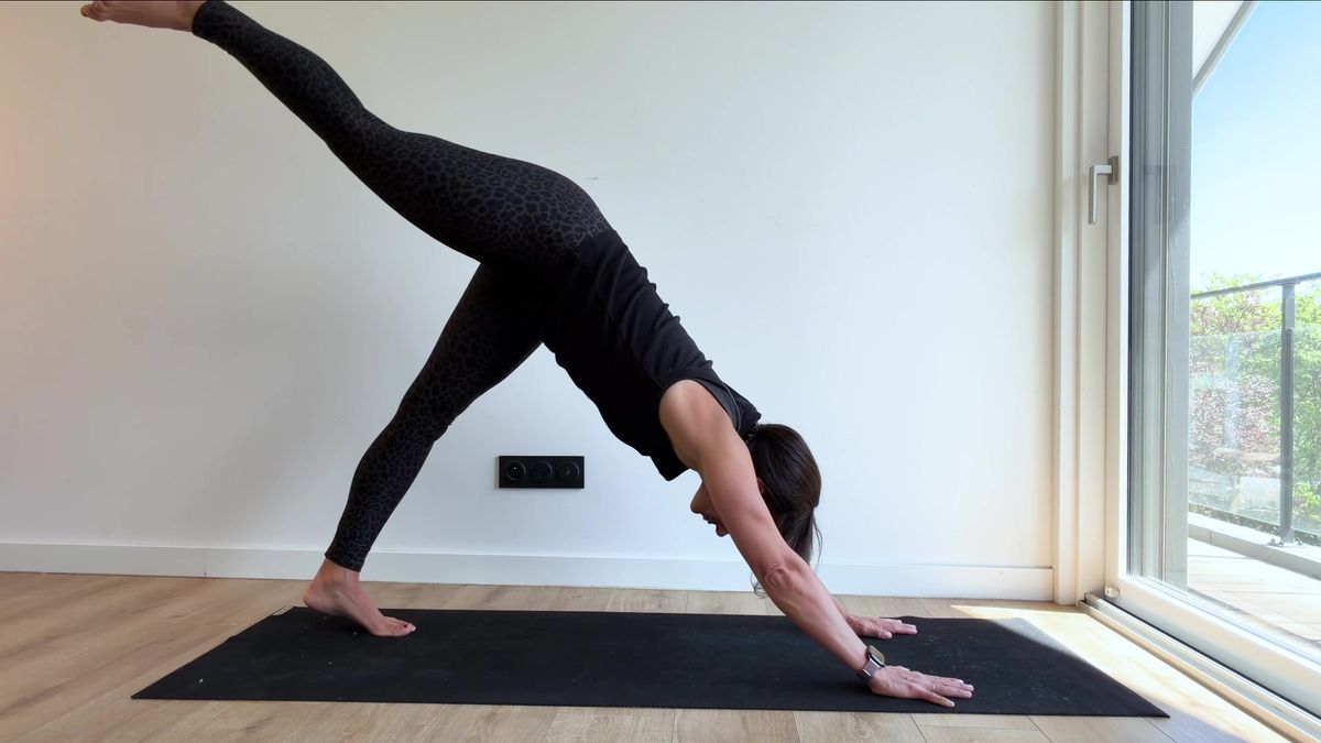 Three-Legged Dog Pose