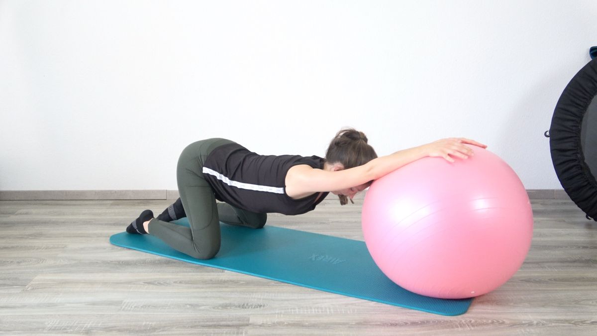 Spine Rolling & Unrolling