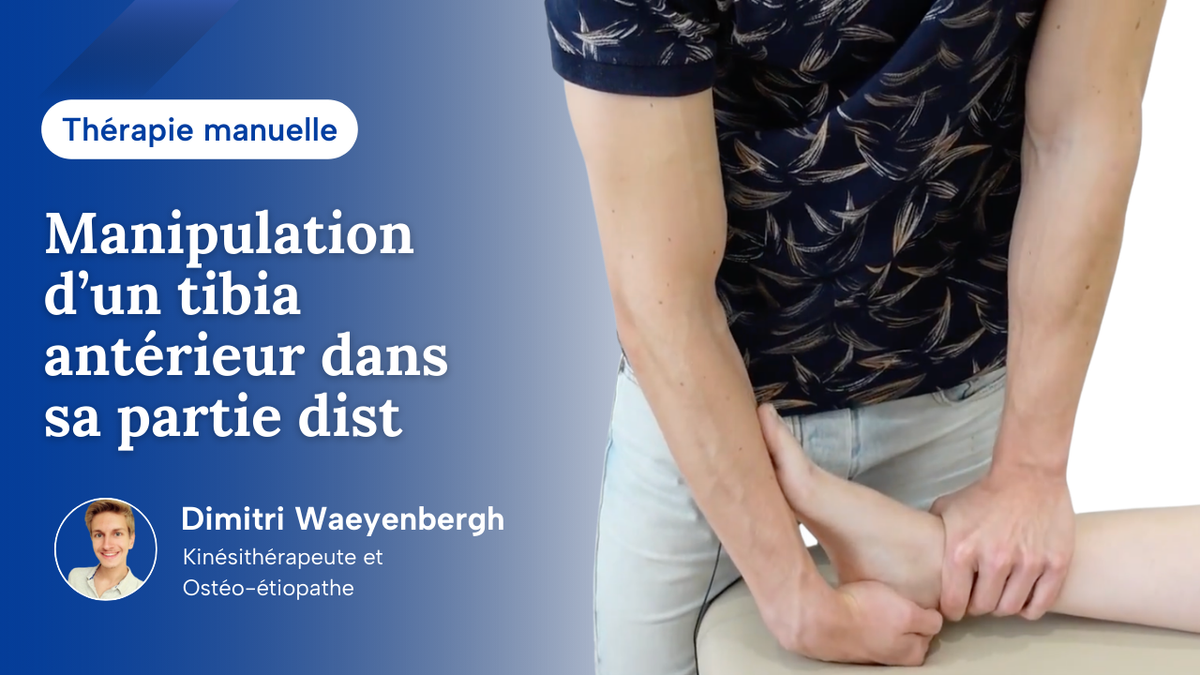 Manipulation d'un tibia antérieur dans sa partie distale