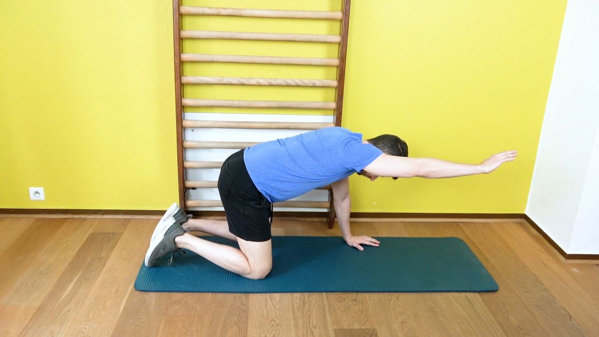 Bird Dog With Arm Elevation