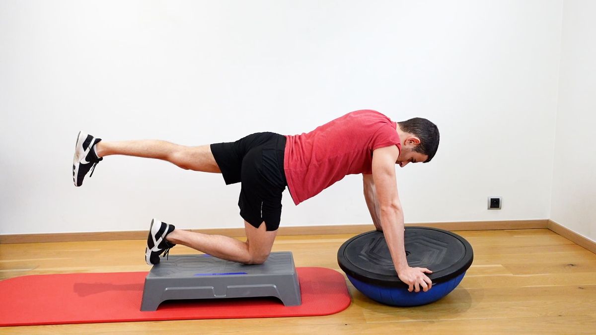 Single-Leg Plank on Upside-Down Bosu