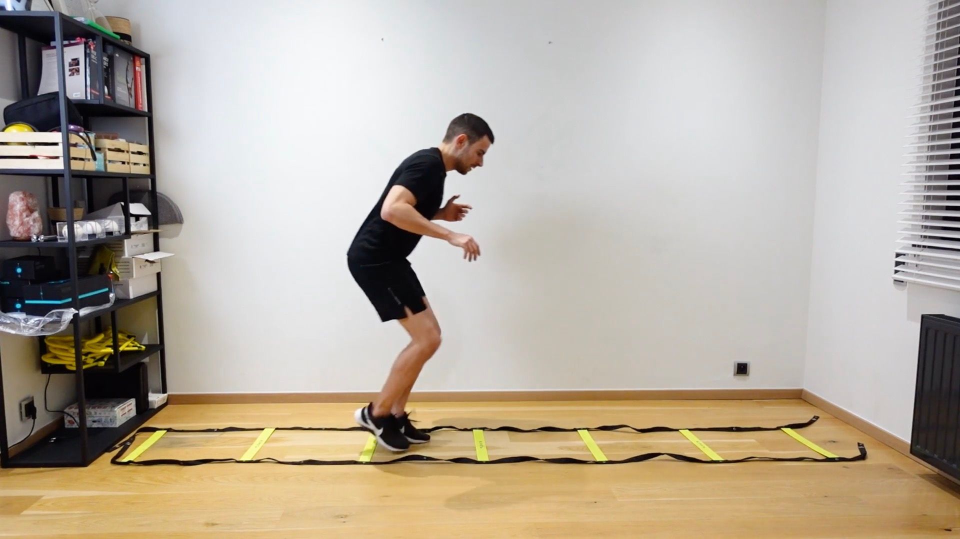 Internal / External Support Exercise With Ladder, view 1