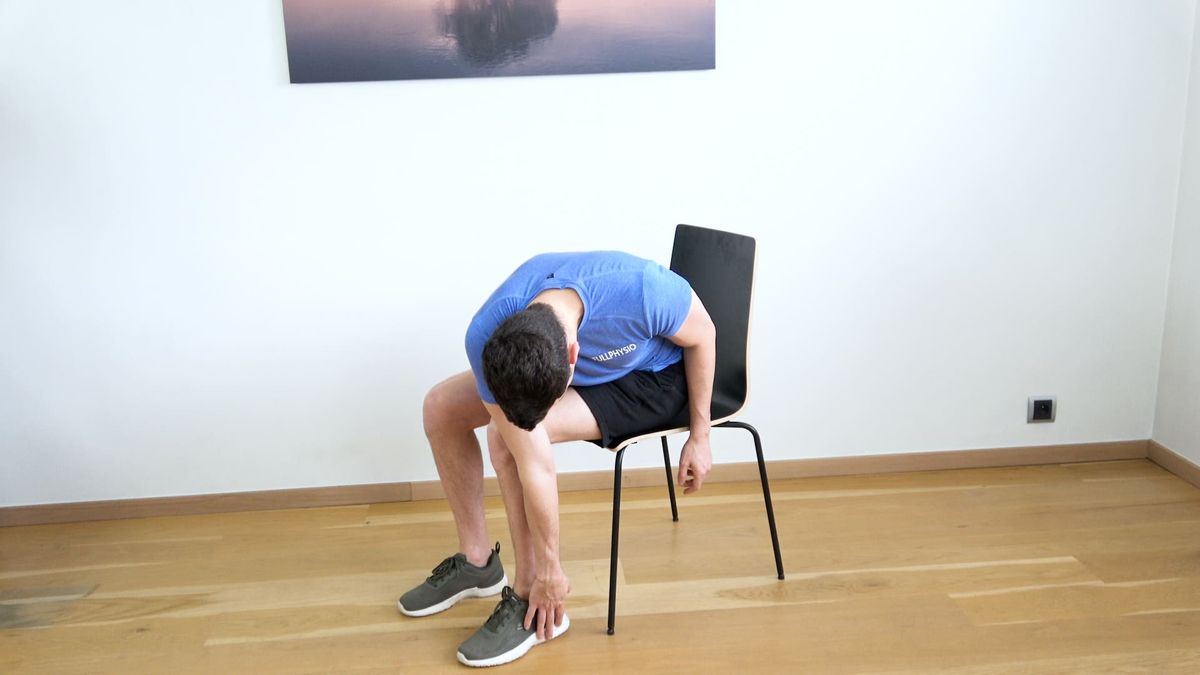 Flexion / Rotation / Tilt Mobility