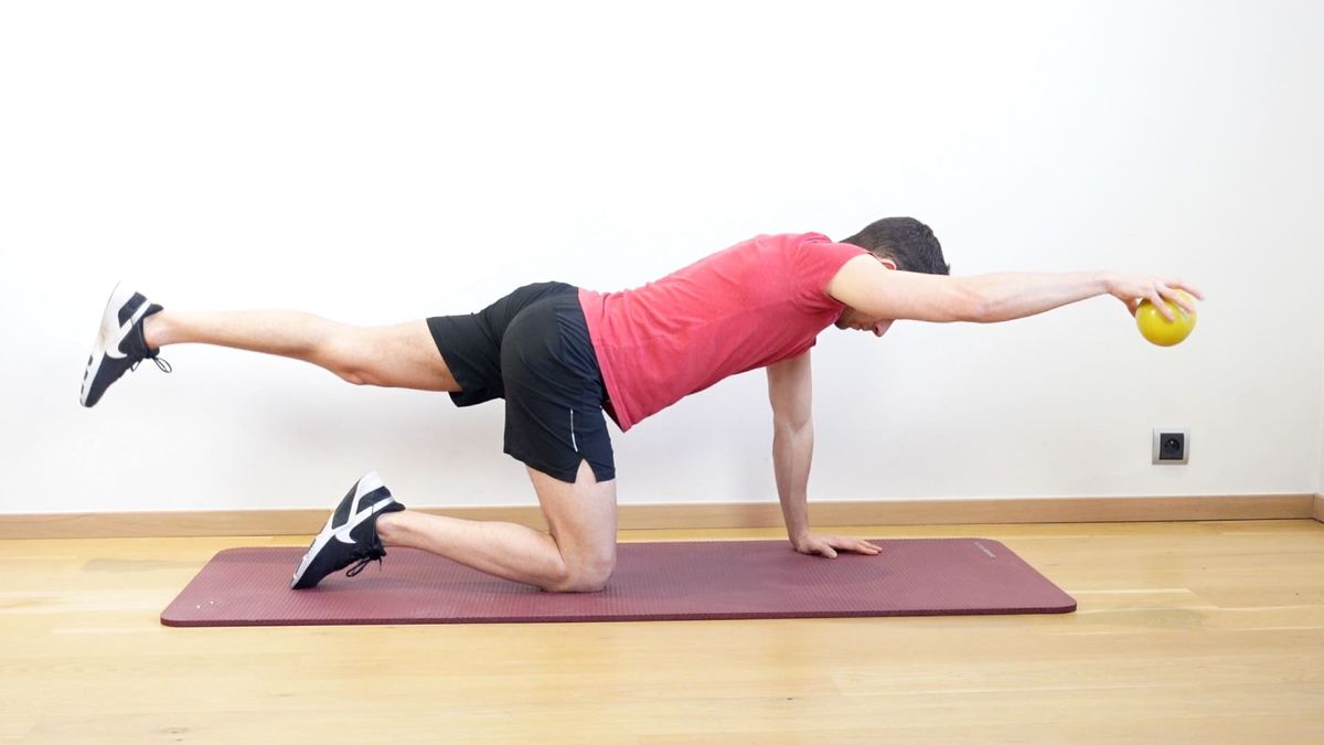 Bird dog avec pliométrie en flexion d'épaule