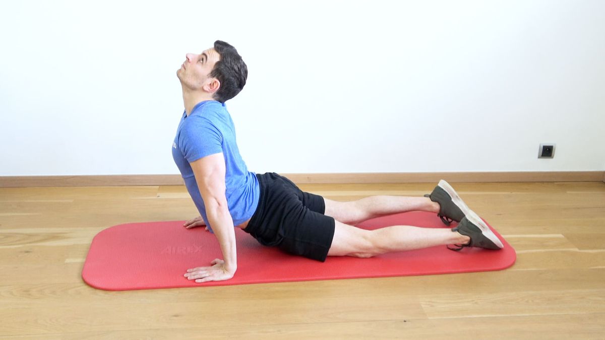 Flexion / Extension Mobility