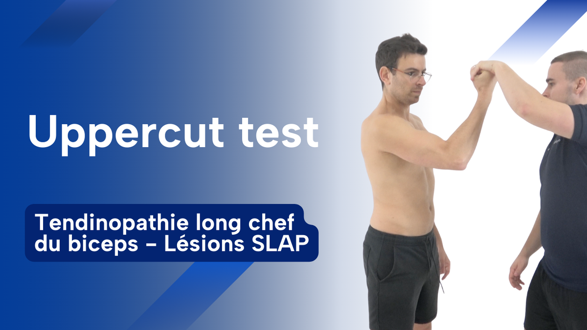 Uppercut test