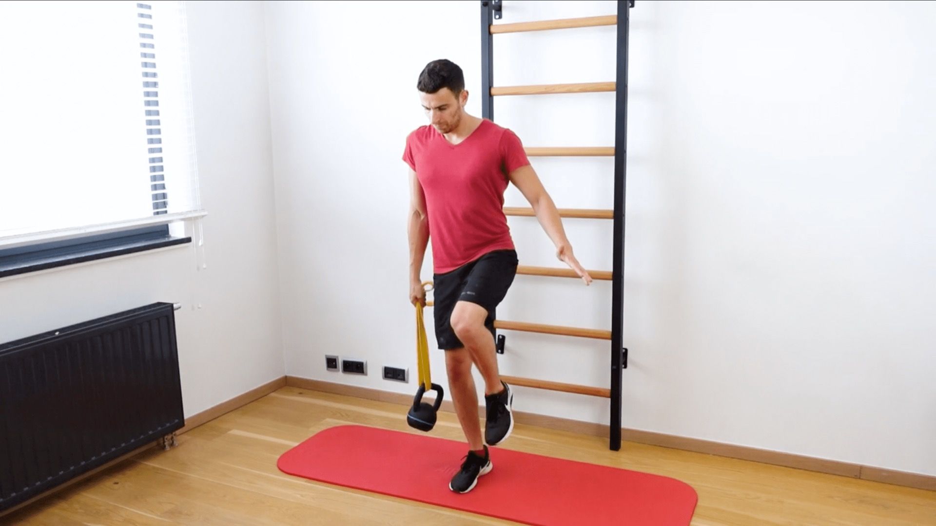 Single-Leg Balance With Destabilization, view 2