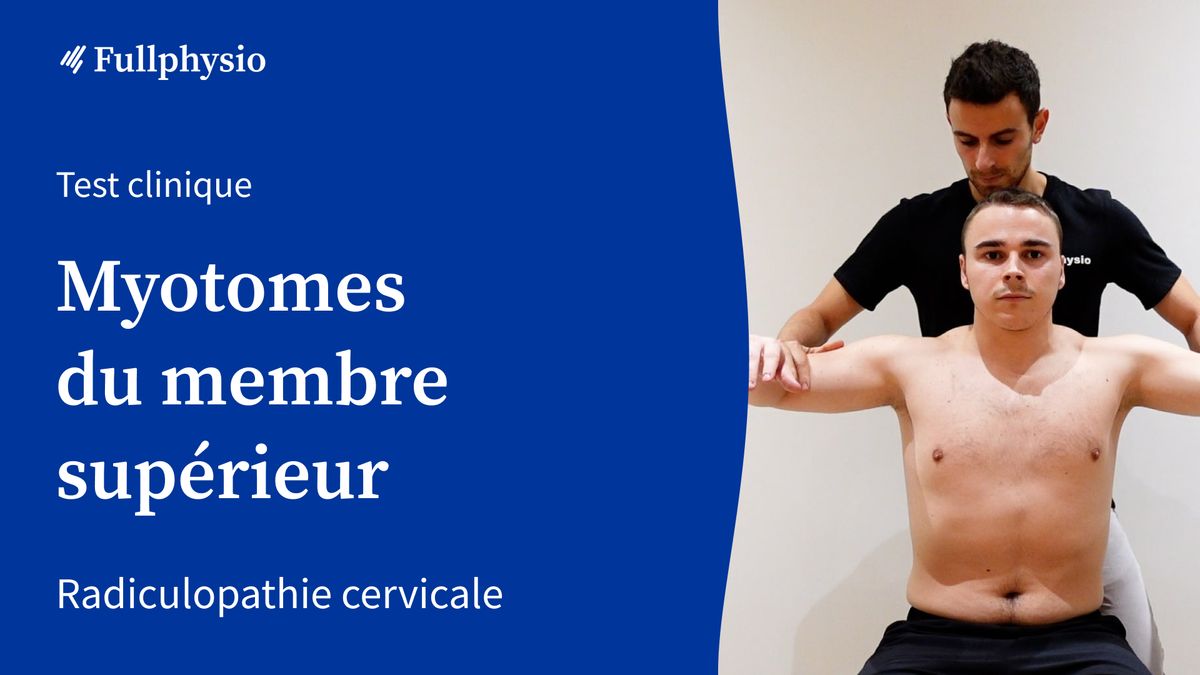 Myotomes du membre supérieur