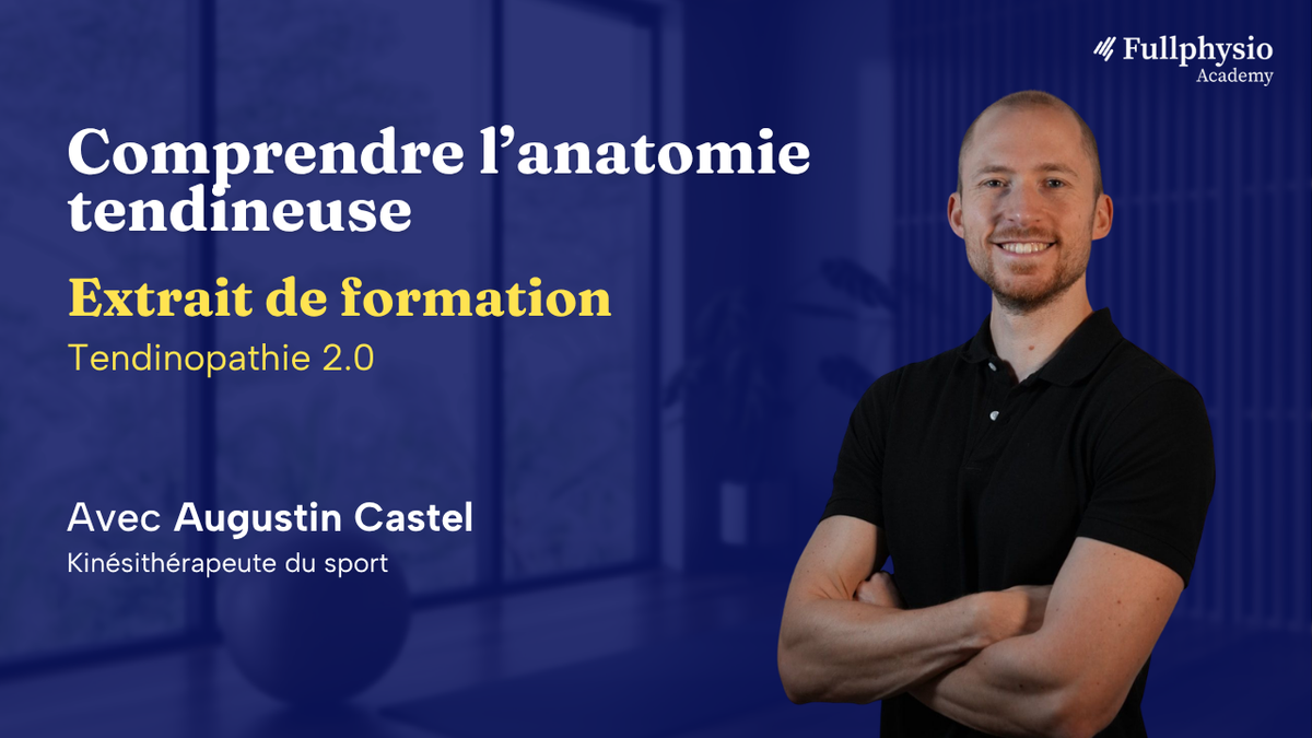 Comprendre l’anatomie tendineuse