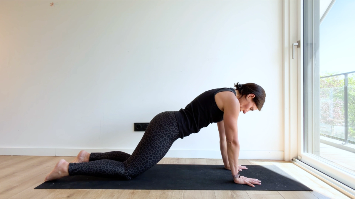 Kneeling Forearm / High Plank