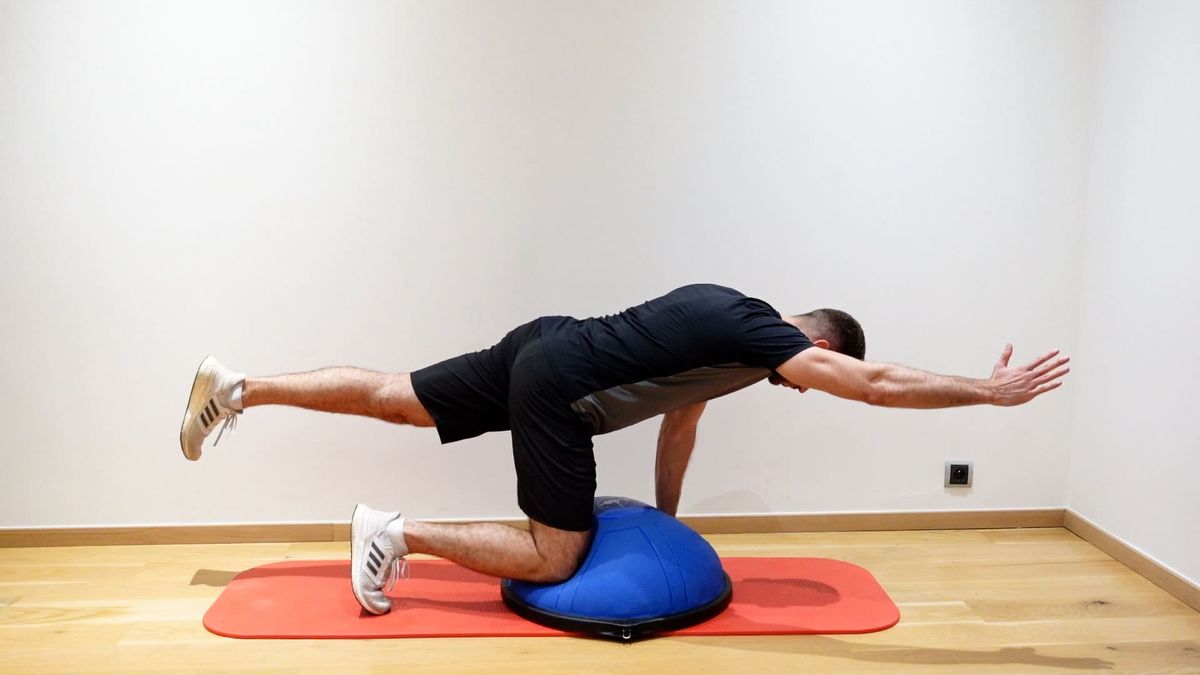 Bird dog sur Bosu