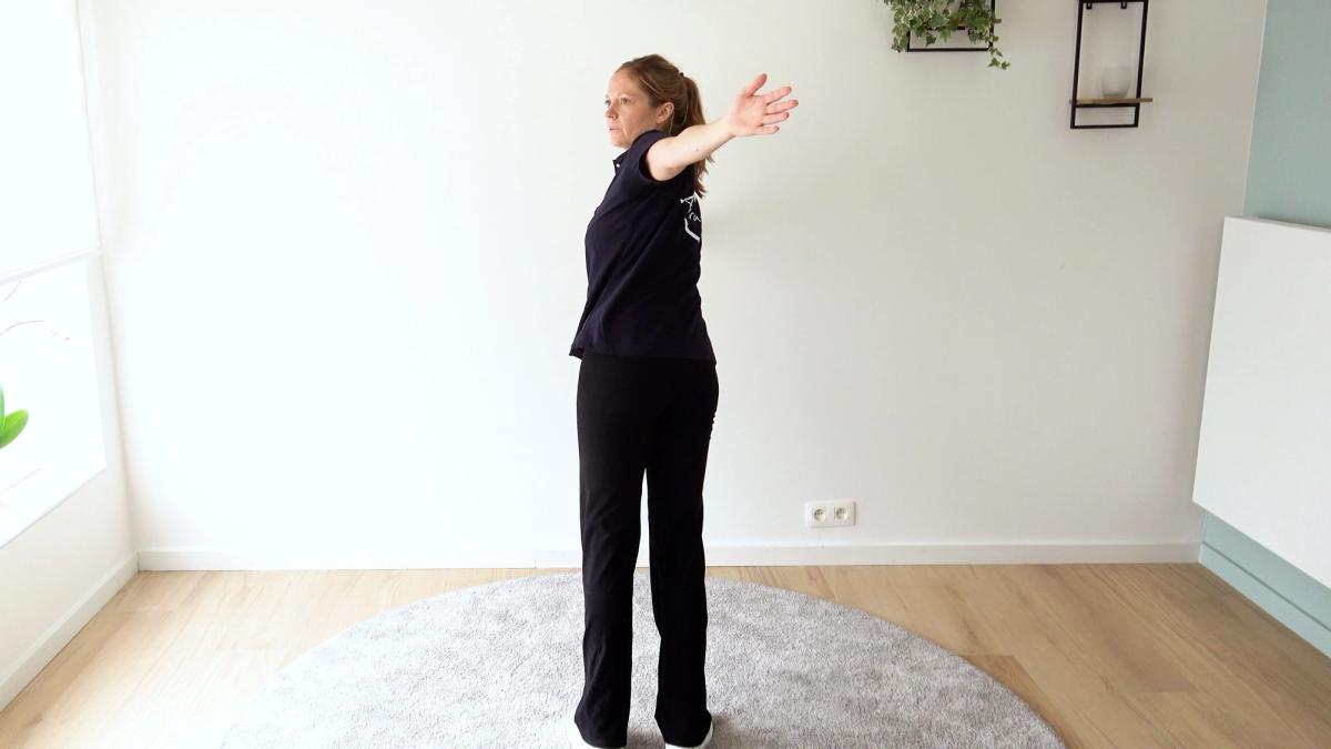 Incline Plank With Trunk Rotation