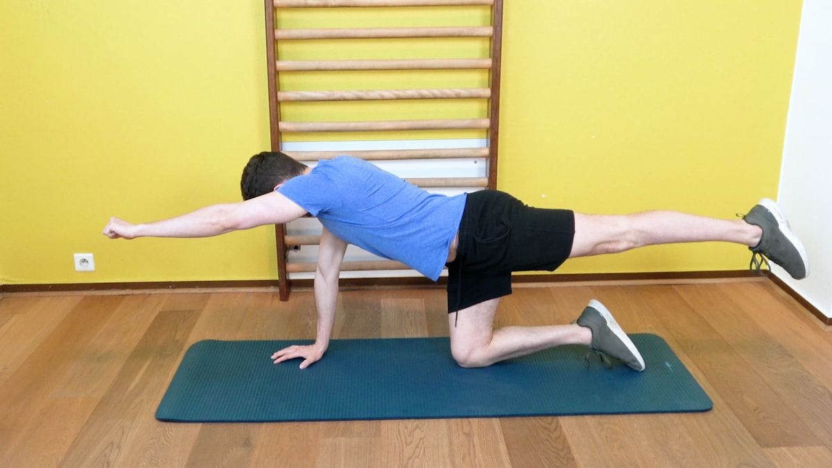 Homolateral Bird Dog