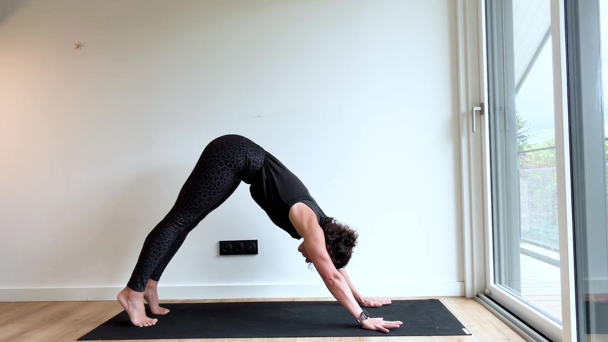Advanced "Vinyasa" Flow From Upward-Facing Dog to Downward-Facing Dog