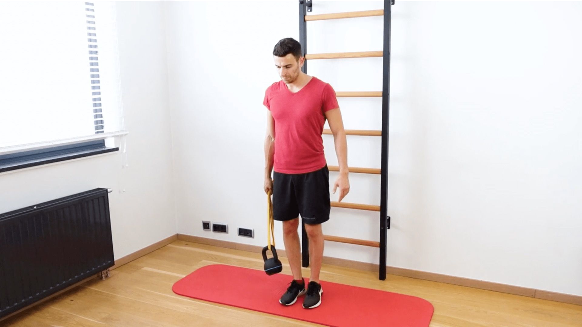 Single-Leg Balance With Destabilization, view 1