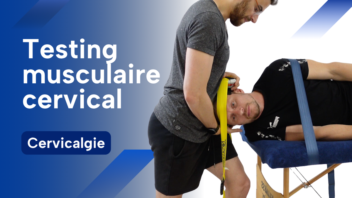 Testing musculaire cervical