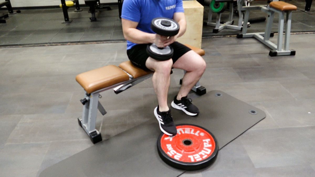 Seated Heel Raises and Dorsiflexion With Weight