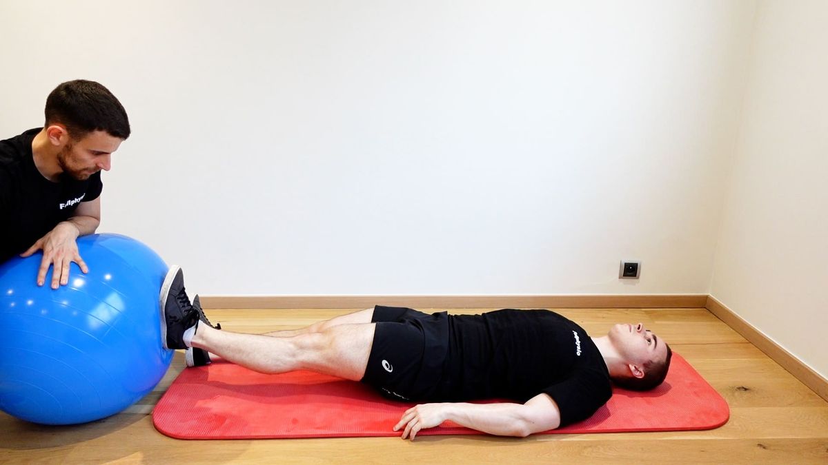 Single-Leg Press on Swiss Ball