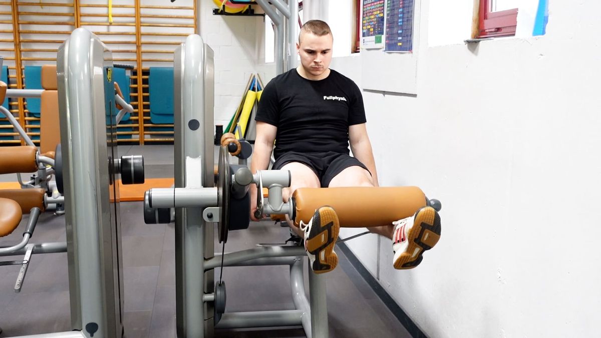 Leg Extension
