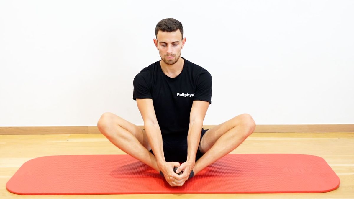 Adductors Self-Stretching