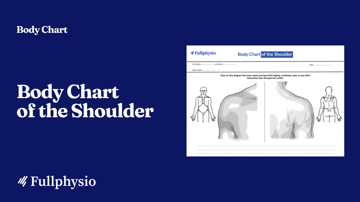 Body Chart of the Shoulder