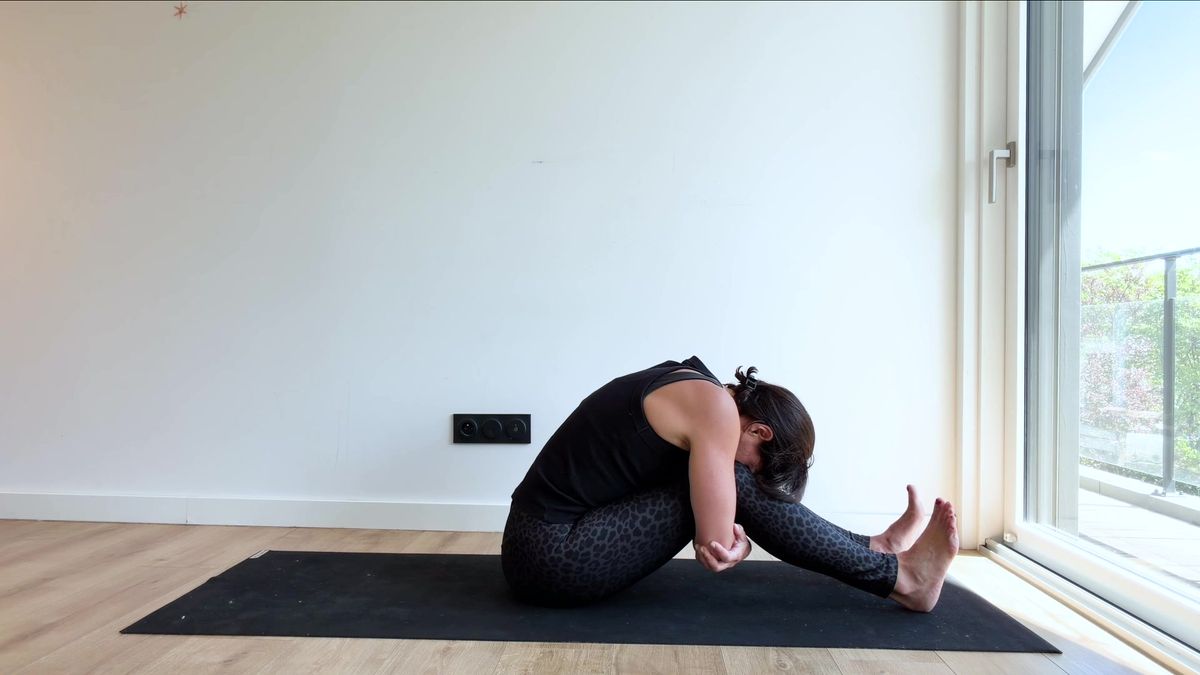 Flexion avant assise