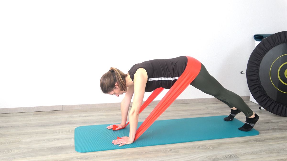 Modified Plank With Elastic Resistance