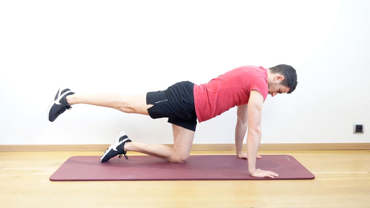 Bird Dog With Anterior Serratus Strengthening