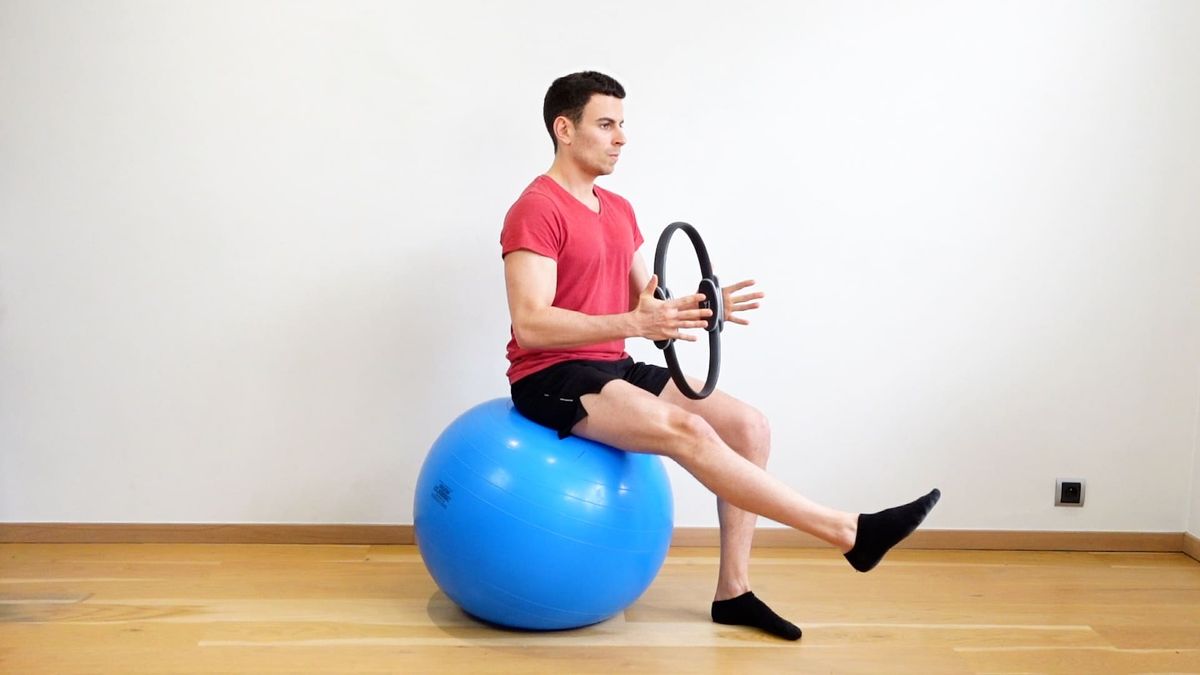 Abdominal Plank With Single-Leg Stability on Swiss Ball & Upper Body Lock