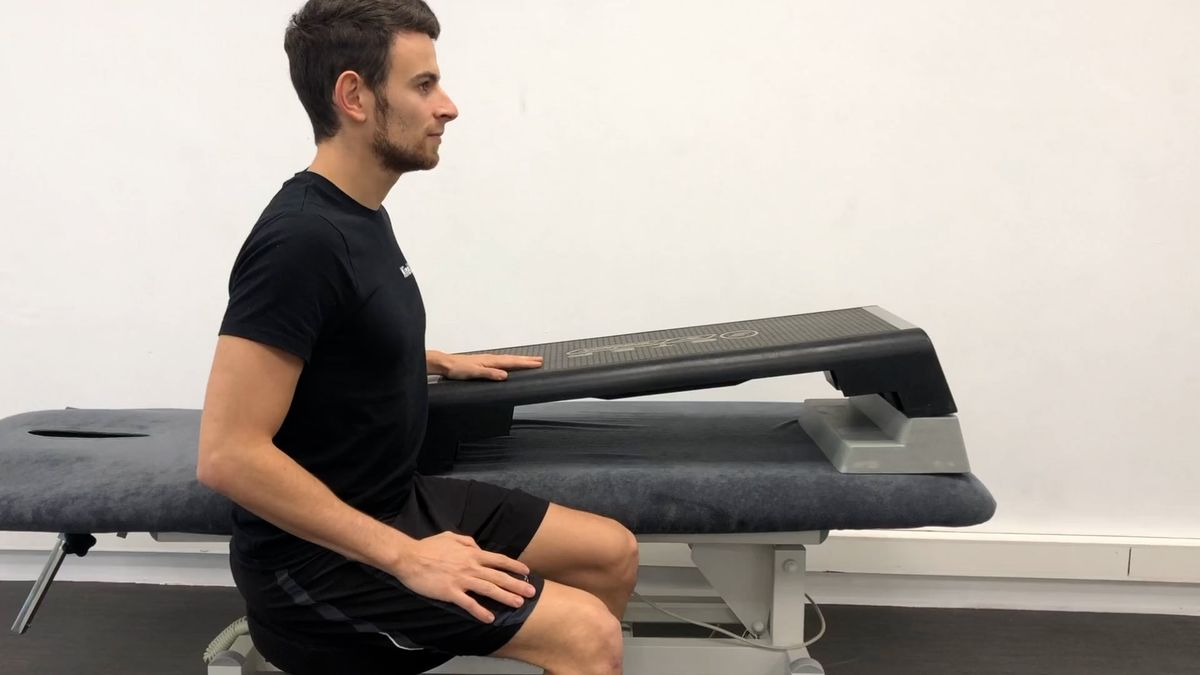 Active-Assisted Anterior Elevation Mobilization