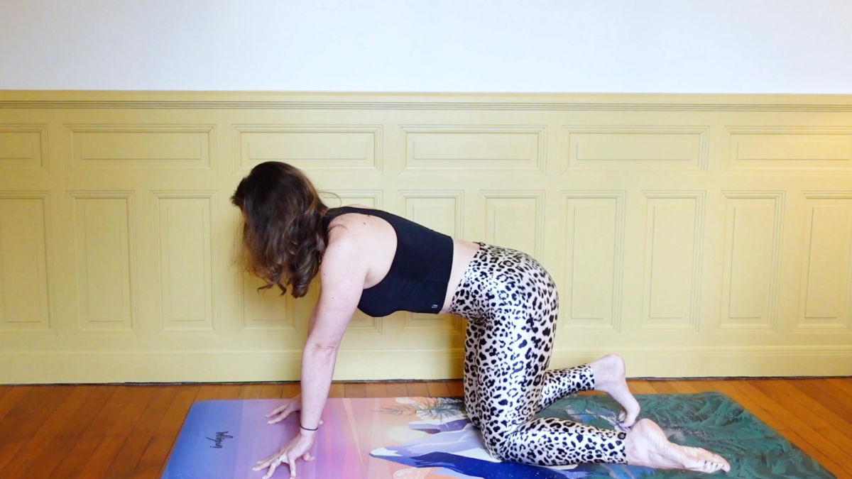 Tail Wag Focused on the Lower Body