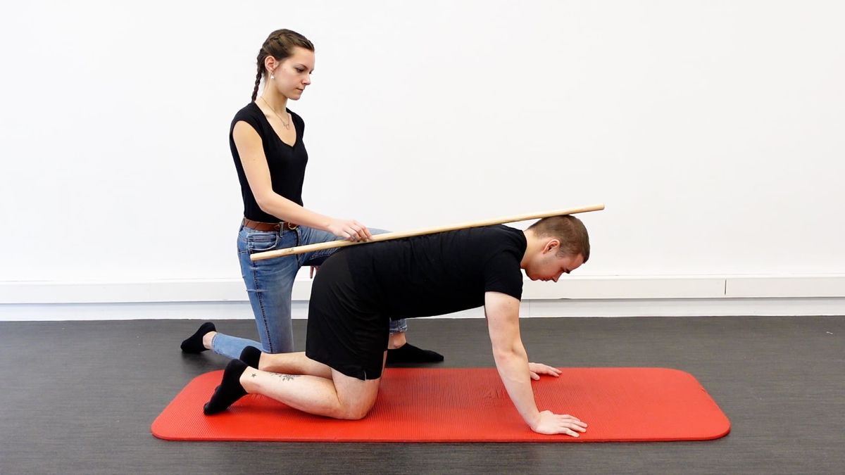 Back Alignment in Quadruped Position