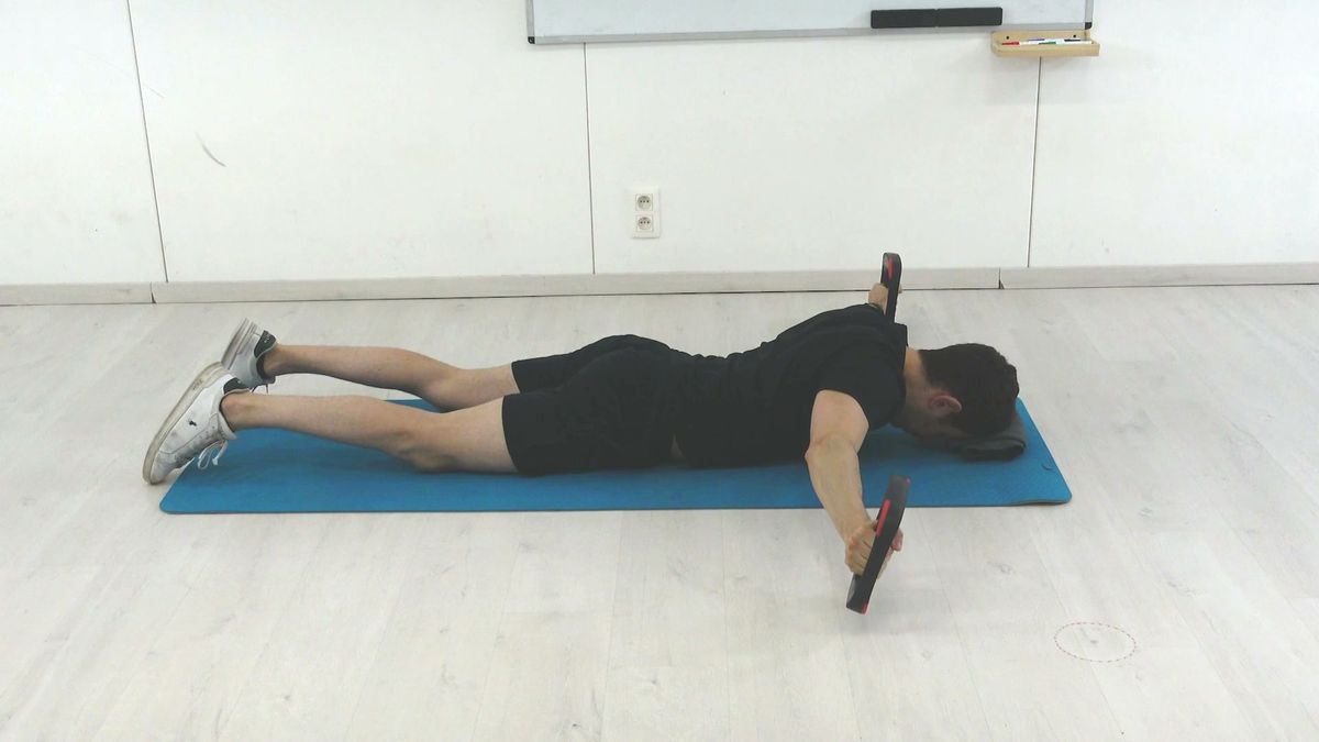 Prone Arm Raises With Heavy Weights