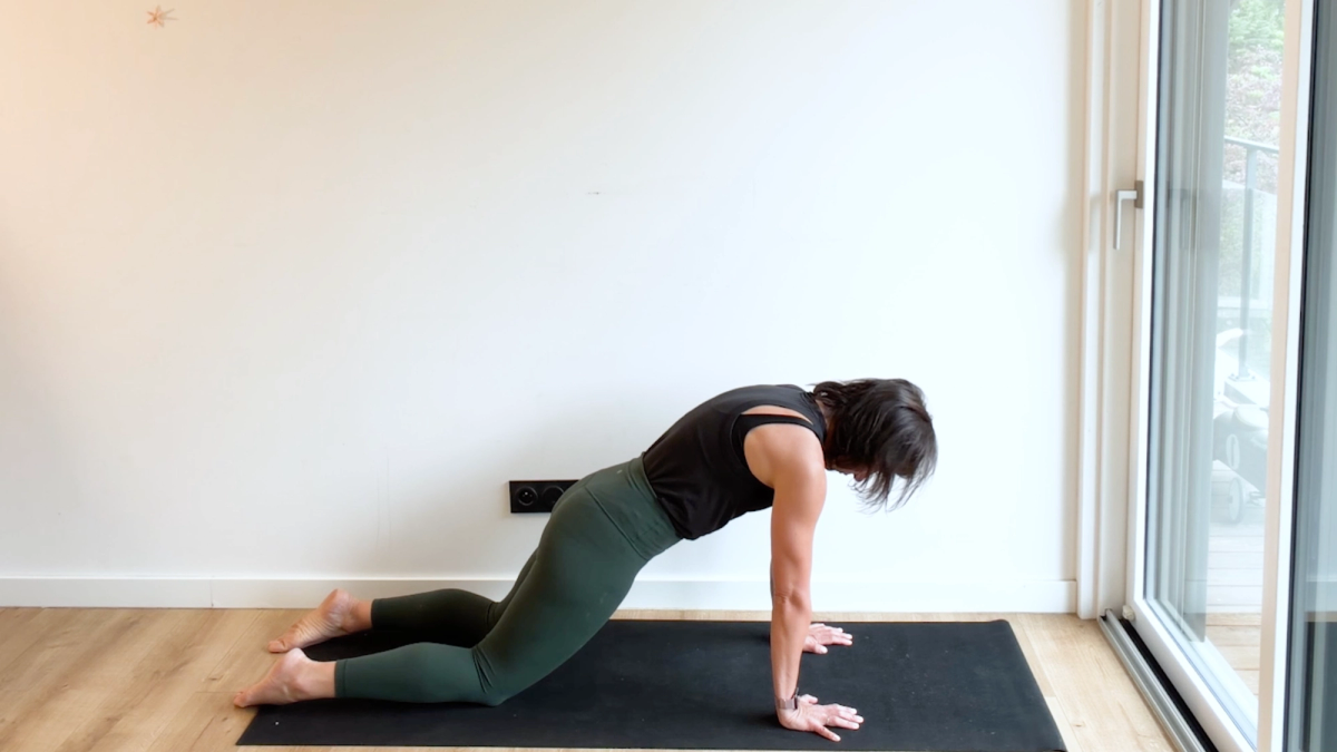 Planche basse