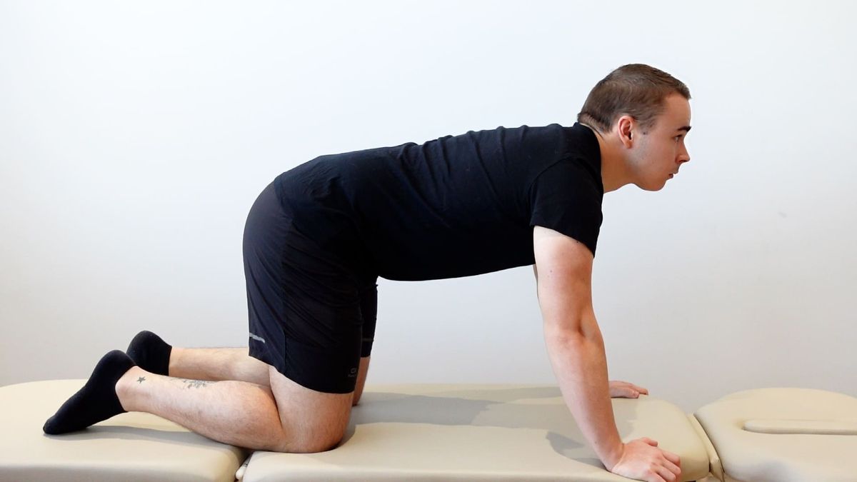 Combined Mobilizations in Quadruped Position