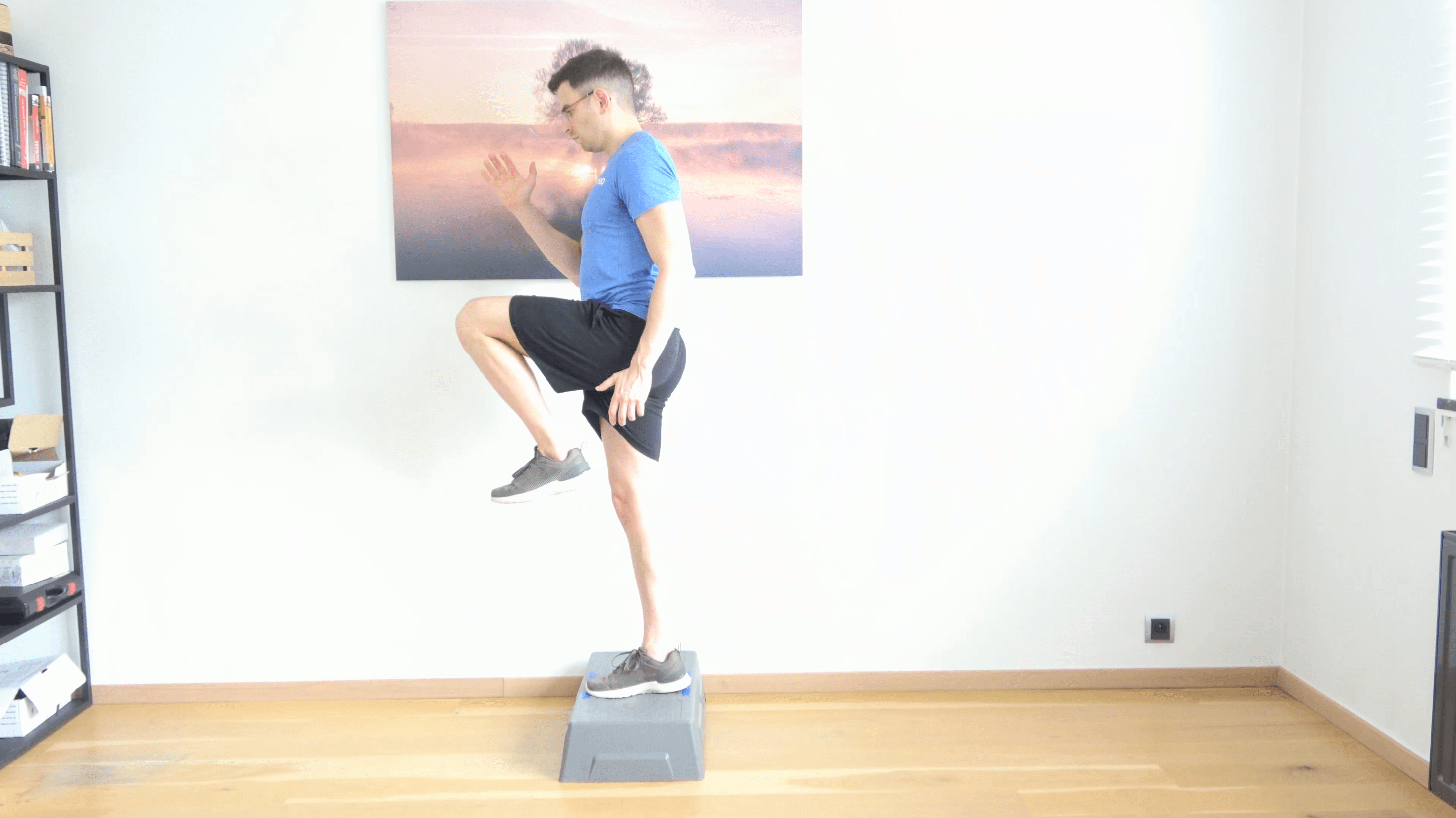 Step Up & Knee Lift