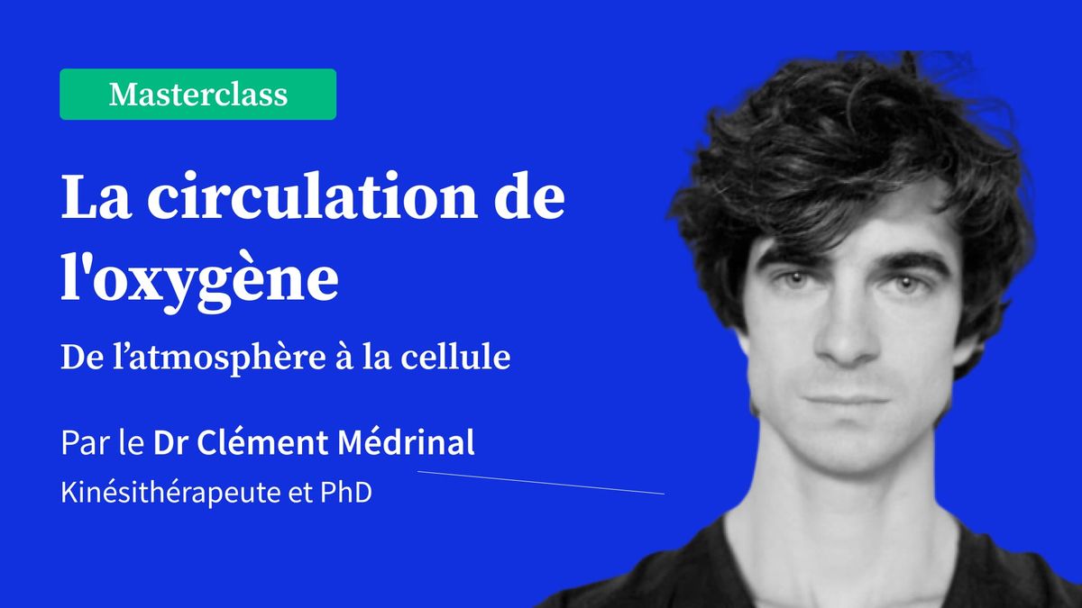 La circulation de l'oxygène - De l'atmosphère à la cellule