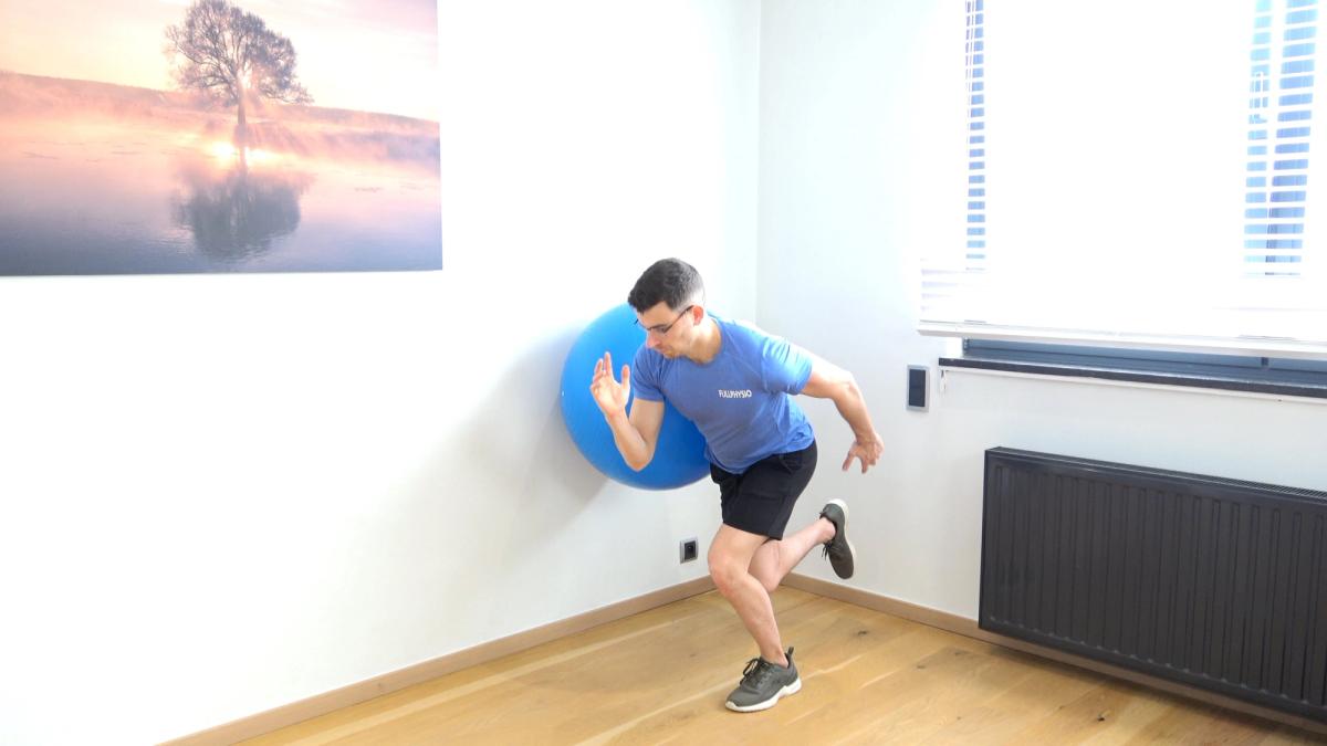 Assisted Single-Leg Squat With Swiss Ball Against Wall