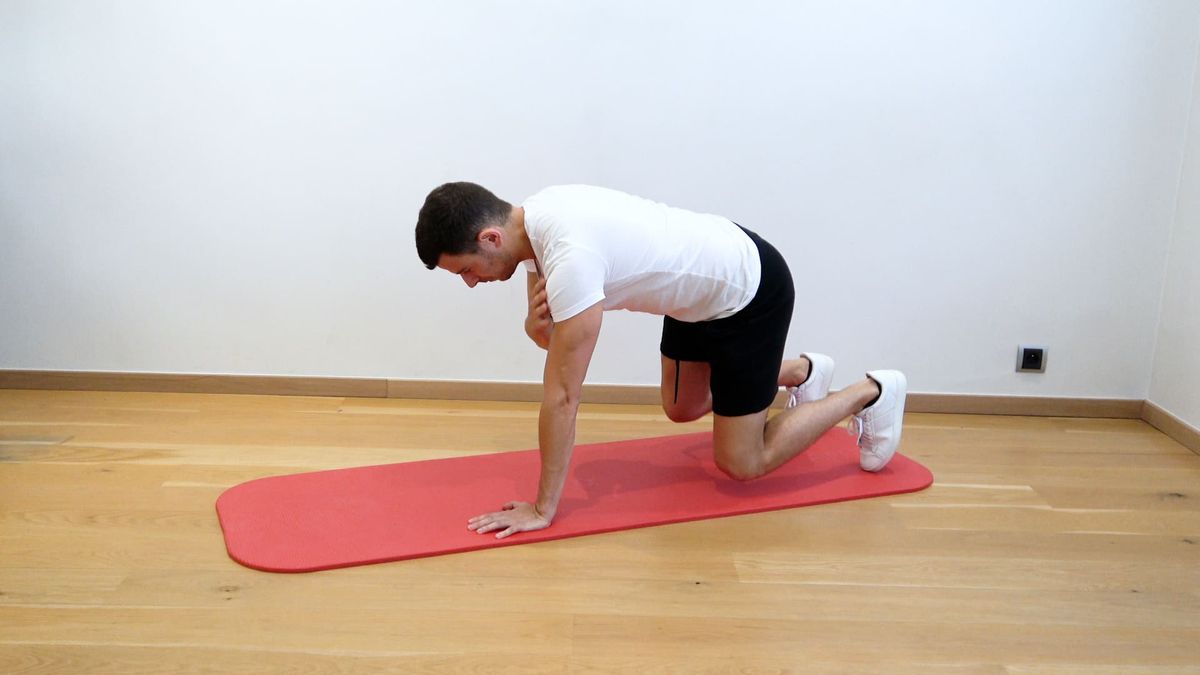 Bear plank dynamique