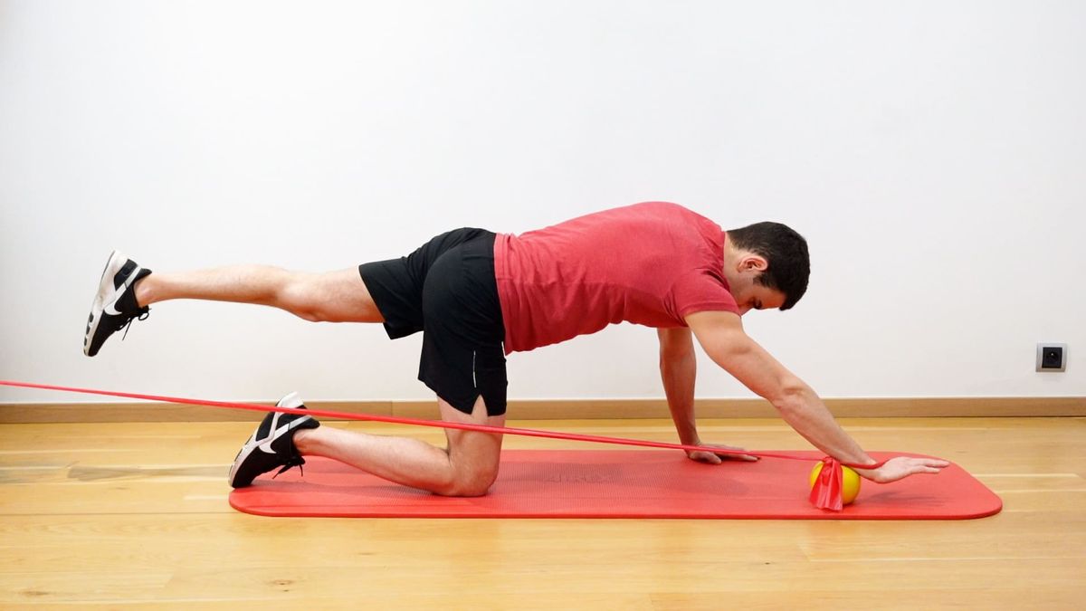 Bird dog avec flexion d'épaule résistée