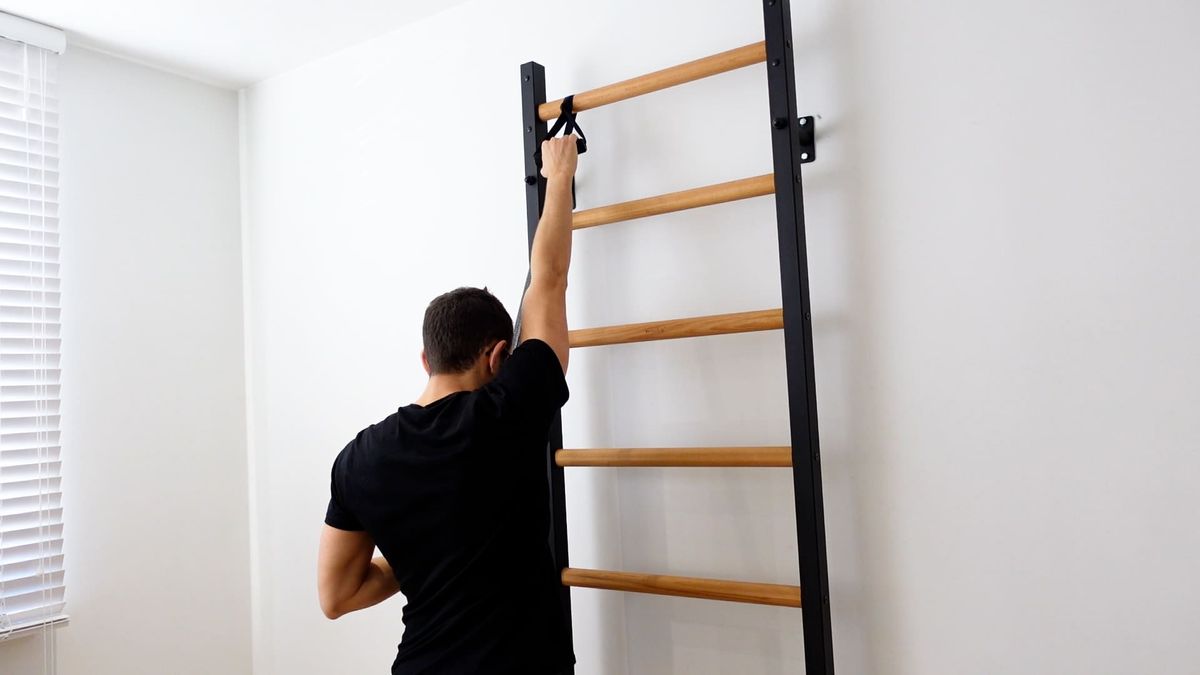 Flexion activo-passive type poulie