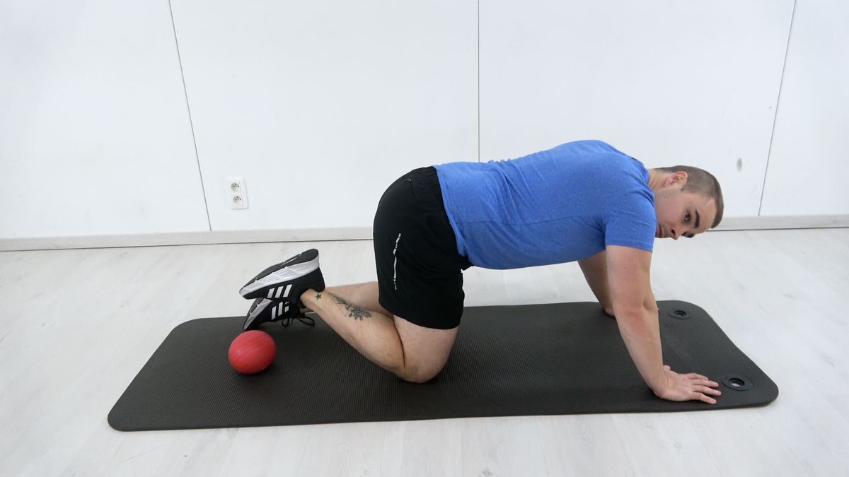 Active Flexion in Quadruped Position
