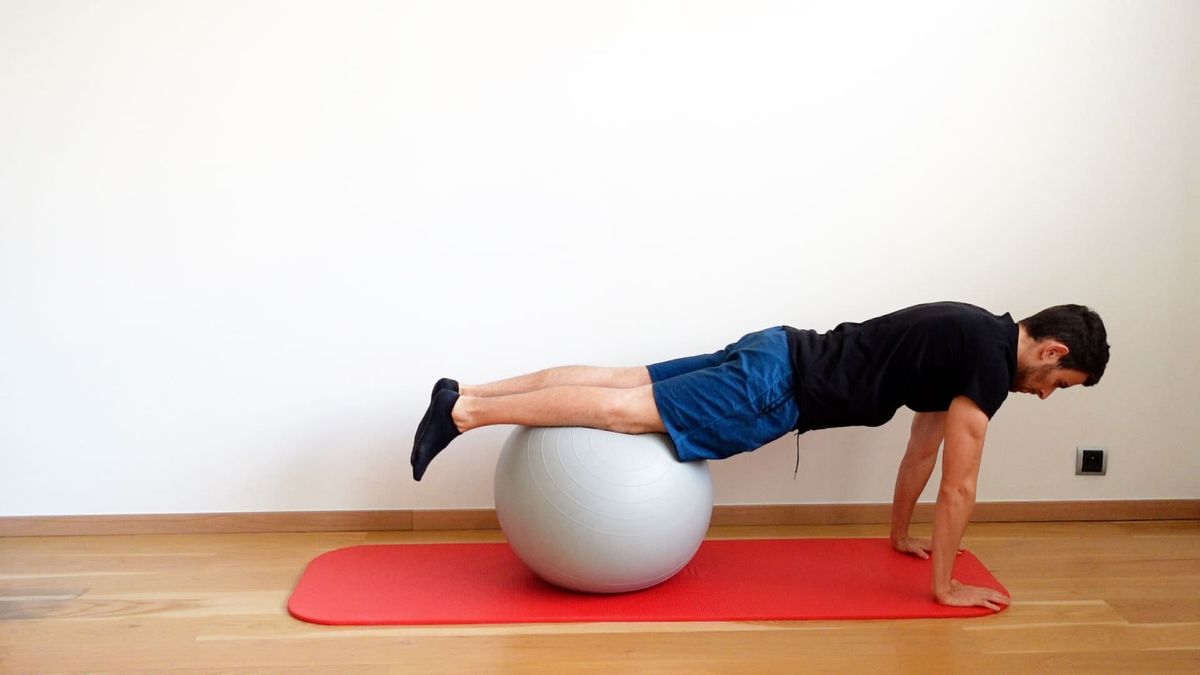 Dynamic Plank With Swiss Ball