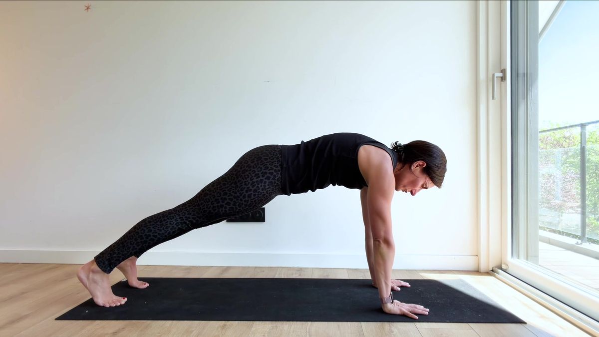 De la planche sur les avant-bras à la planche haute