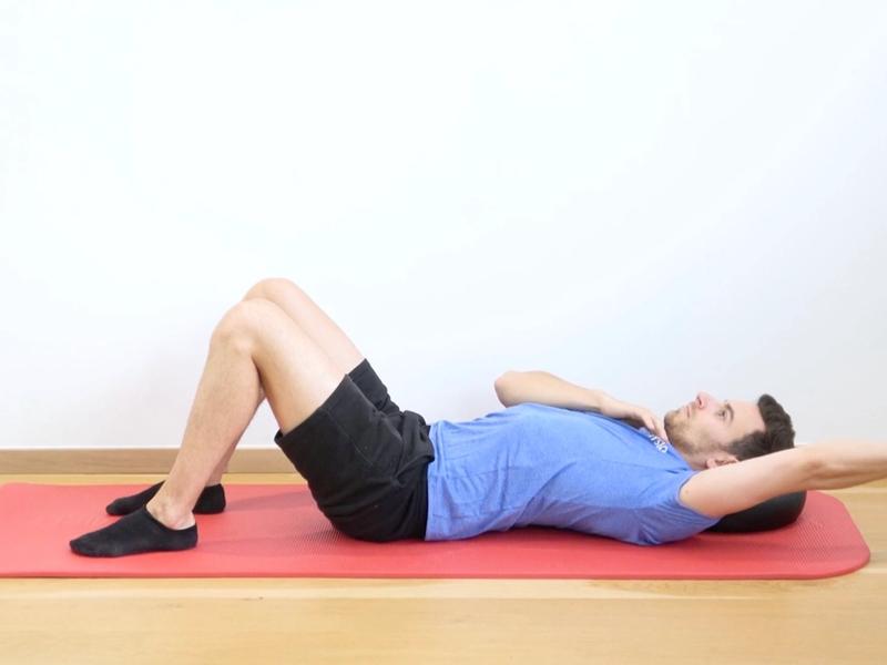 Renforcement extenseurs excentrique, vue 2